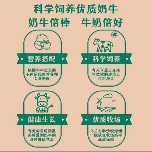 【3.8高蛋白的优质牛奶】牧和道3.8纯牛奶 200mlx10盒/箱 商品图4