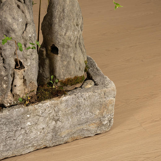 清 英石山形赏石配石盆 商品图4