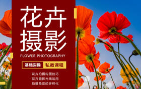 【私教课】花卉摄影实操课程（基础实操/进阶实操）