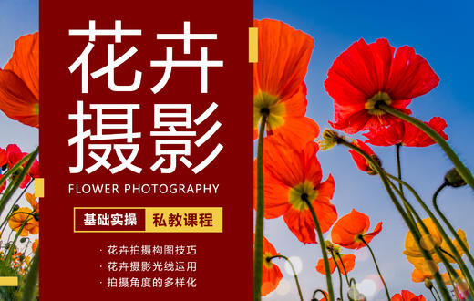 【私教课】花卉摄影实操课程（基础实操/进阶实操） 商品图0