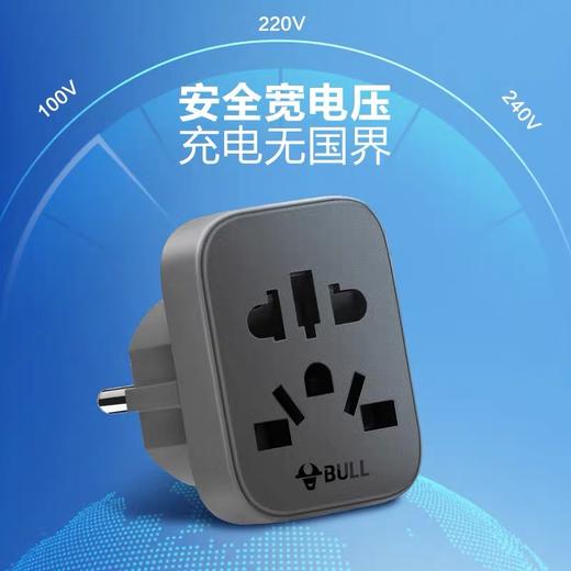公牛 欧标德标旅行电源转换器插座转换插头 国内电器国外使用 适合国外使用 1个 商品图2
