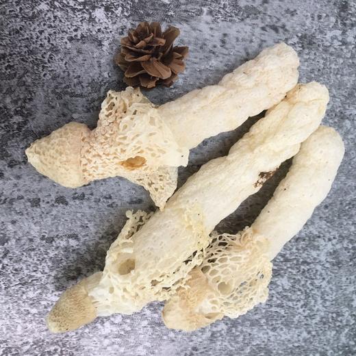 贵州黔西南兴义市多彩菇事红托竹荪30g/罐 商品图2