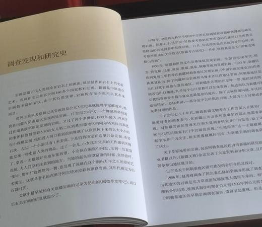 绝版！！《新疆岩画调查与编年研究》，16开，平装，铜版彩印，吕恩国著，新疆人民出版社2023年一版一印，177页，定价106，售价105元。 商品图8