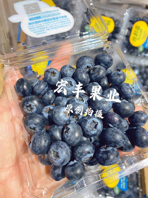 【宏丰精选】怡颗莓蓝莓，口感脆甜，花香味浓郁 活动价16.8元一盒 商品图4