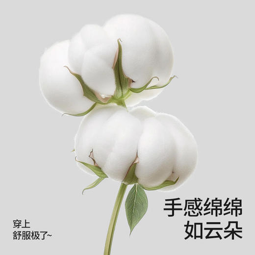 贝肽斯女童内裤夏季薄款儿童宝宝三角裤透气不夹屁屁抑菌纯棉a类【合作品牌】 商品图1