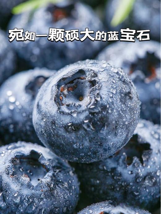 来自彩云之巅！有花香味的【莓里蓝莓】大颗饱满 果香四溢 口口脆甜 花香浓郁 富含花青素 现摘现发 新鲜到家~ 商品图3