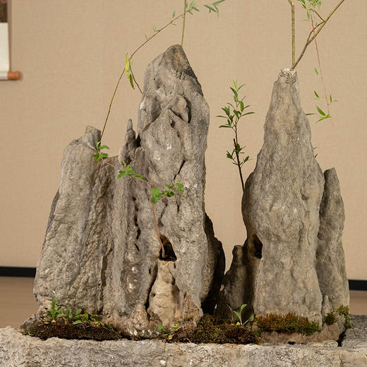 清 英石山形赏石配石盆 商品图2