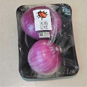 太阳公社有机洋葱 400g/份