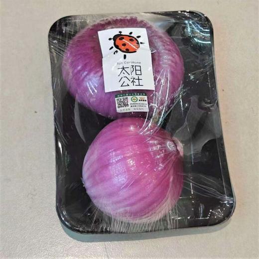 太阳公社有机洋葱 400g/份 商品图0