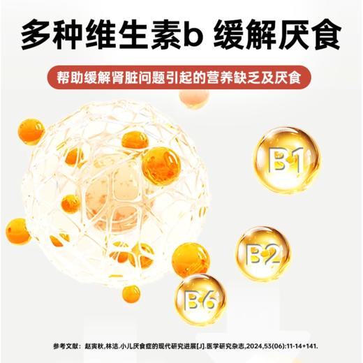 【澳龙】莫瑞加肾康宠物犬营养补充剂专业肾脏医院同款猫狗通用 商品图3