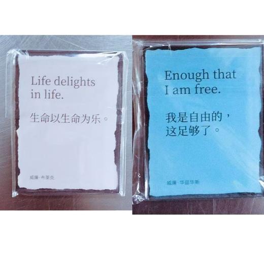 【文学纪念碑078】自然的超自然主义：浪漫主义文学中的传统与革命  定价158元 商品图5