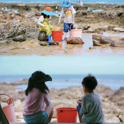 五一3天【磨盘山岛 立减80元】小众私人岛屿の海边星空露营-赶海捡海螺/螃蟹/八爪鱼-环岛徒步-小众度假天花板 商品图3