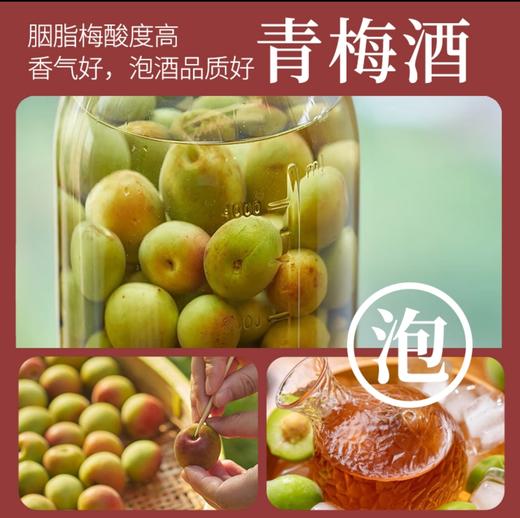 2026诏安老树青梅 | 新鲜上市产地直发 甄选八分熟青梅 肉厚核小 果形圆润 大小均匀有光泽 人工采摘现发 胭脂梅 商品图2