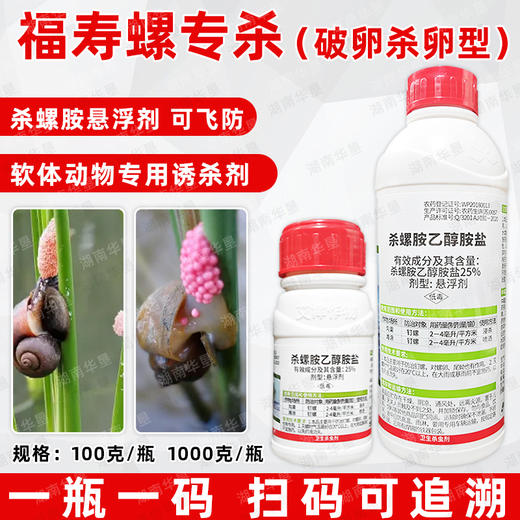 杀螺胺乙醇胺盐悬浮剂福寿螺专杀沟渠滩涂除螺专用杀螺剂正品农用 商品图2