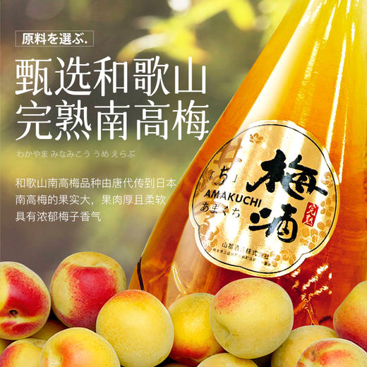 井奈梅酒 果酒 梅子酒 青梅酒 11度 720ml 礼盒 商品图1