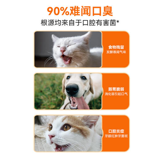 VIP【华大宠乐·宠物营养补充剂·复合活性益生菌】(口腔款)（200粒/瓶） 商品图2