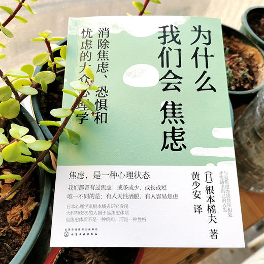 为什么我们会焦虑：消除焦虑、恐惧和忧虑的大众心理学 商品图2