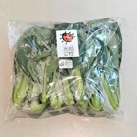 太阳公社有机鸡毛菜 250g/份