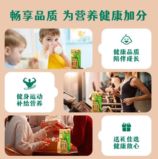 【3.8高蛋白的优质牛奶】牧和道3.8纯牛奶 200mlx10盒/箱 商品图2