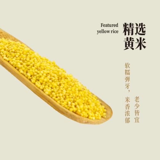 【买五送一】大黄米红枣粽100g 商品图2