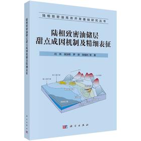 陆相致密油储层甜点成因机制及精细表征
