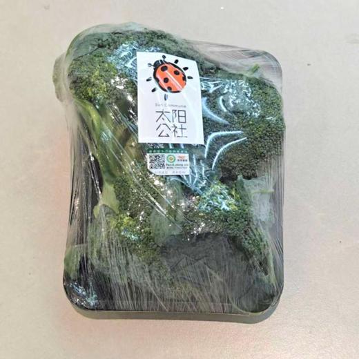 太阳公社有机西兰花 300g/份 商品图0