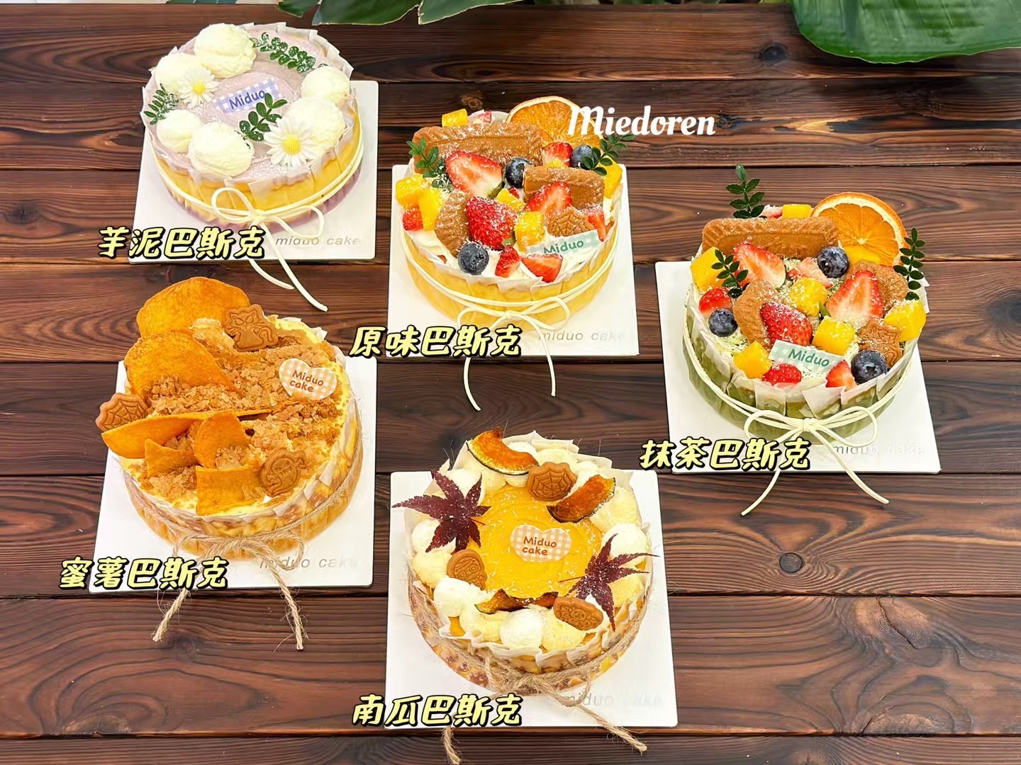 五寸巴斯克系列