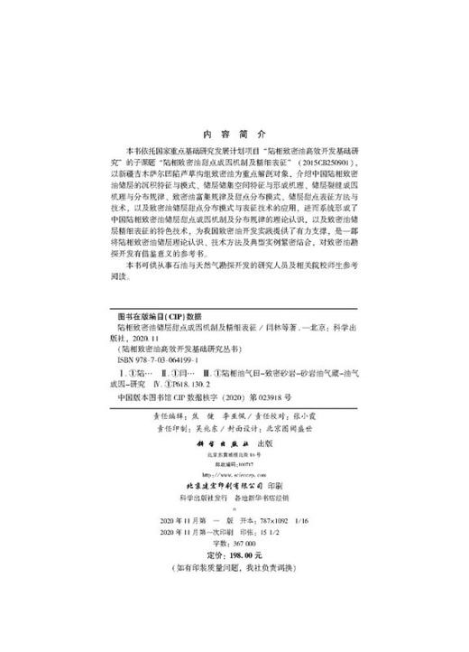 陆相致密油储层甜点成因机制及精细表征 商品图2