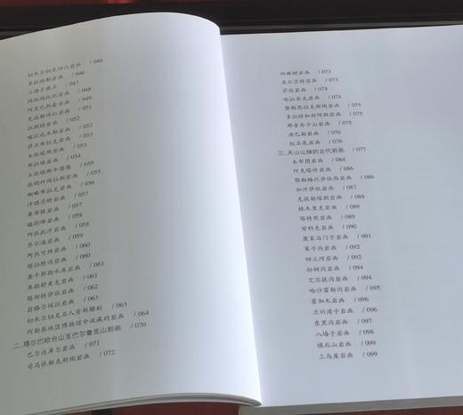 绝版！！《新疆岩画调查与编年研究》，16开，平装，铜版彩印，吕恩国著，新疆人民出版社2023年一版一印，177页，定价106，售价105元。 商品图5