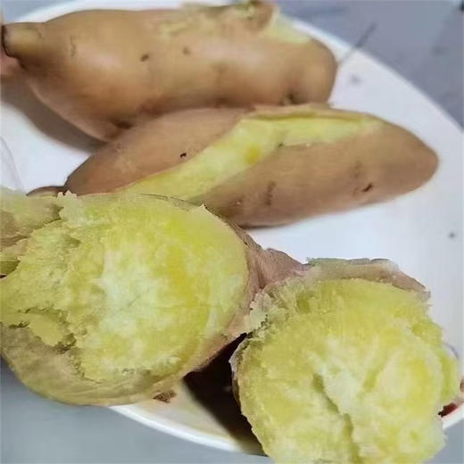 【季节慎拍】广东湛江稳田香稳村番薯（板栗薯） 商品图4