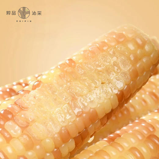 粹品沁采西双版纳小花糯玉米1.5kg 商品图2