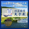 【武汉.黄陂】江城百臻兴正农庄夫子米5kg 商品缩略图1