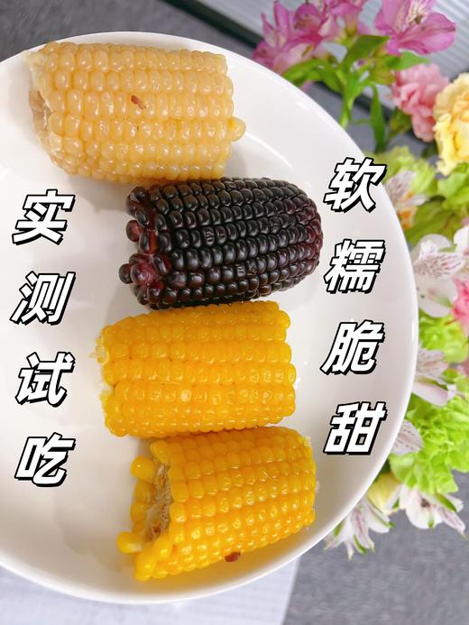🔥【低糖玉米】配料表只有玉米，无任何添加剂！来自上市公司老品牌的非转基因优质玉米，以全国最大单体糯玉米加工厂，年产能超 1 亿穗。必选用日本进口HG15母婴食品级专业蒸煮袋 商品图6