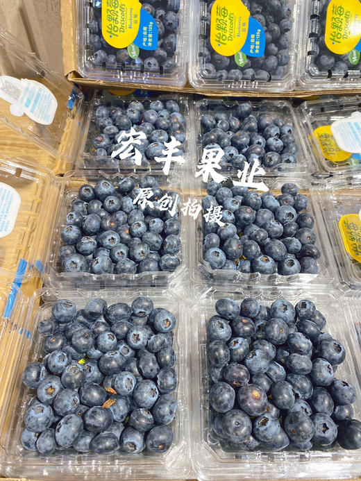 【宏丰精选】怡颗莓蓝莓，口感脆甜，花香味浓郁 活动价16.8元一盒 商品图3