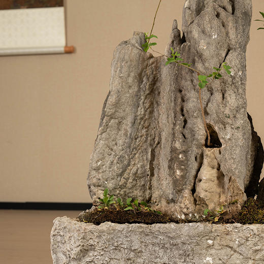 清 英石山形赏石配石盆 商品图3