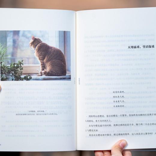 《林清玄治愈全书》（全5册）台湾著名散文大家林清玄 “ 素心”系列全集，经典作品集结。作者执笔四十五周年诚意奉献 商品图7