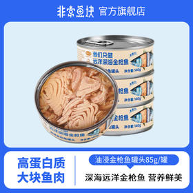 非常鱼块 油浸水浸金枪鱼罐头140g/罐