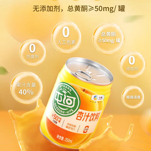 中粮屯河杏汁礼提装250ml*10 商品图1