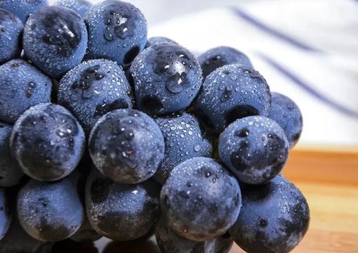 【云南•夏黑葡萄】（顺丰发货）皮薄多汁夏日葡萄 无籽的天然果冻 自然成熟 精选一级果 颗颗饱满 新鲜爽口 商品图4