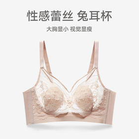 芬腾女士内衣大胸显小上托防下垂文胸蕾丝性感聚拢薄款无钢圈胸罩