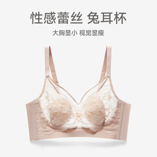 芬腾女士内衣大胸显小上托防下垂文胸蕾丝性感聚拢薄款无钢圈胸罩 商品图0