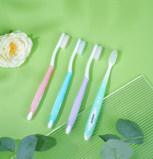 3-7天发货 到手36支/3盒【自营】可贝尔COBOR 牙刷 美国牙刷 超细软毛护龈成人牙刷家用 商品图2