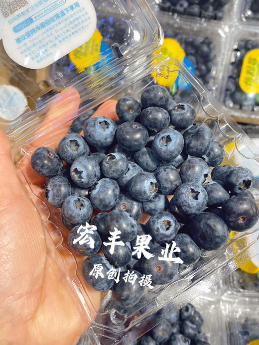 【宏丰精选】怡颗莓蓝莓，口感脆甜，花香味浓郁 活动价16.8元一盒 商品图1