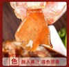 [最农公社]年货节|肴师傅麻辣卤味甲鱼加热即食整只卤味软糯Q弹大厨私房菜 商品缩略图3