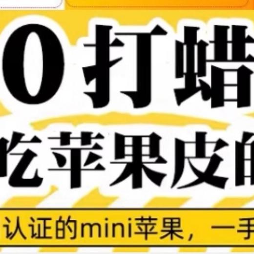 迷你乐琪苹果（2个装） 商品图2