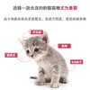 【雷米高】活力果全价幼猫奶糕粮猫粮小猫咪冻干肉蛋果蔬营养五拼主食 商品缩略图3