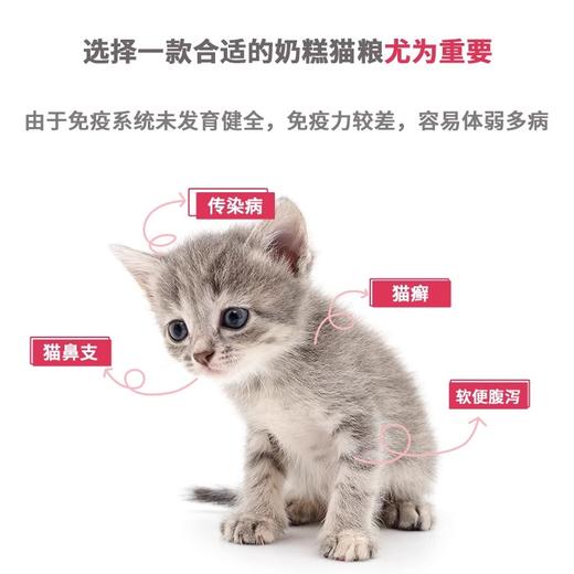 【雷米高】活力果全价幼猫奶糕粮猫粮小猫咪冻干肉蛋果蔬营养五拼主食 商品图3