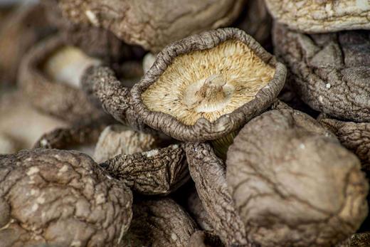 贵州黔西南兴义市多彩菇事香菇150g/罐 商品图5