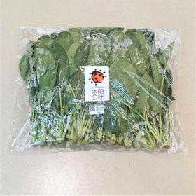 太阳公社有机菠菜 250g/份