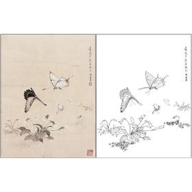 梁若珠花鸟工笔画白描底稿《花蝶图》临摹勾线高清打印画稿CL10